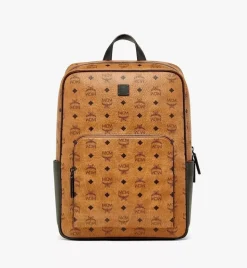 Aren Backpack In Visetos