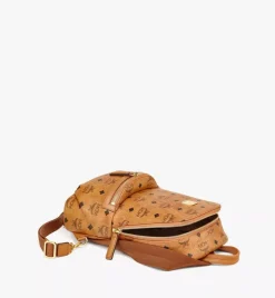 Aren Sling Bag In Visetos