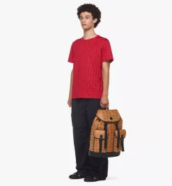 Brandenburg Backpack In Visetos