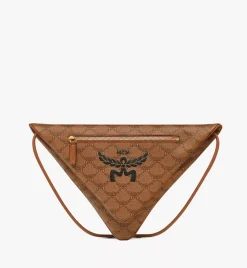 Himmel Triangle Pouch In Lauretos