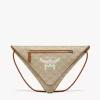 Himmel Triangle Pouch In Lauretos