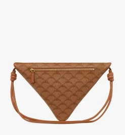 Himmel Triangle Pouch In Lauretos
