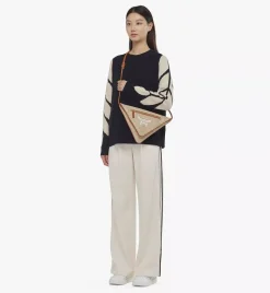 Himmel Triangle Pouch In Lauretos