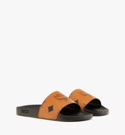 Maxi Visetos Slides