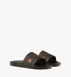 Maxi Visetos Slides
