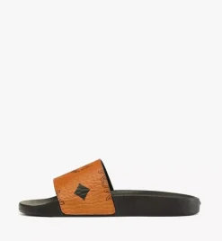 Maxi Visetos Slides