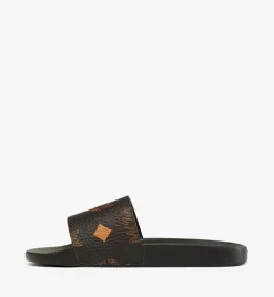 Maxi Visetos Slides