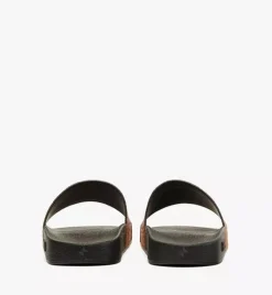 Maxi Visetos Slides