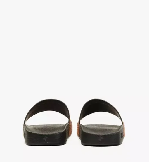 Maxi Visetos Slides