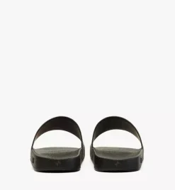 Maxi Visetos Slides