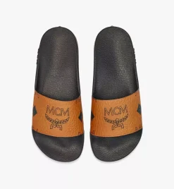 Maxi Visetos Slides