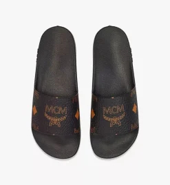 Maxi Visetos Slides