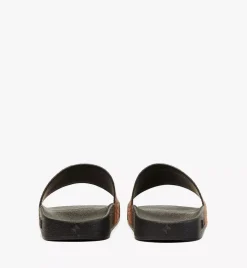 Maxi Visetos Slides