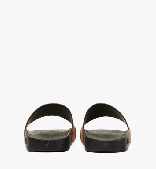 Maxi Visetos Slides