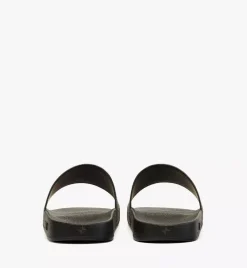 Maxi Visetos Slides