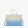 Munchen Tote In Gradation Monogram Leather