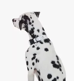 Pet Collar In Visetos