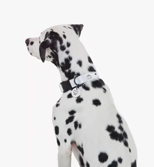 Pet Collar In Visetos