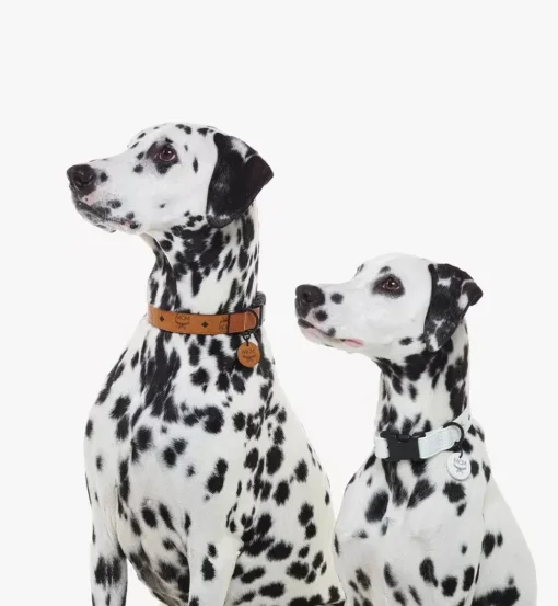 Pet Collar In Visetos