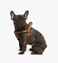 Pet Harness In Visetos