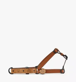 Pet Harness In Visetos