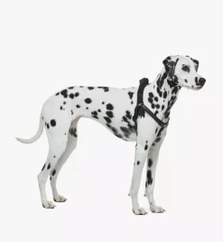 Pet Harness In Visetos
