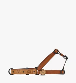 Pet Harness In Visetos