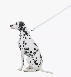 Pet Leash In Visetos