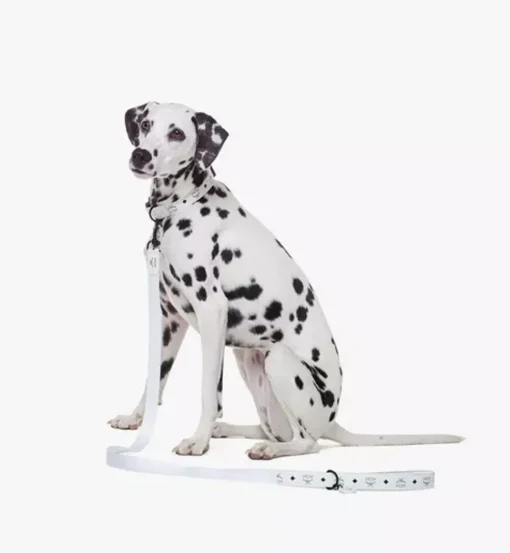 Pet Leash In Visetos