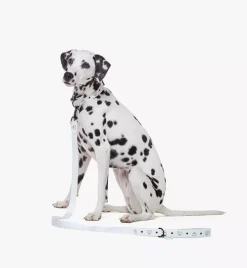 Pet Leash In Visetos