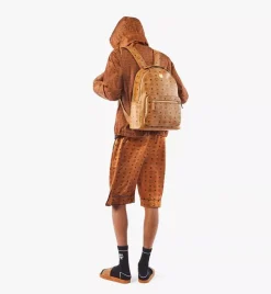 Stark Backpack In Visetos
