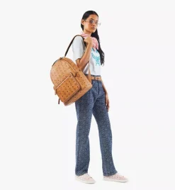 Stark Backpack In Visetos