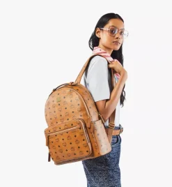Stark Backpack In Visetos