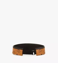 Vinyl Visor In Visetos