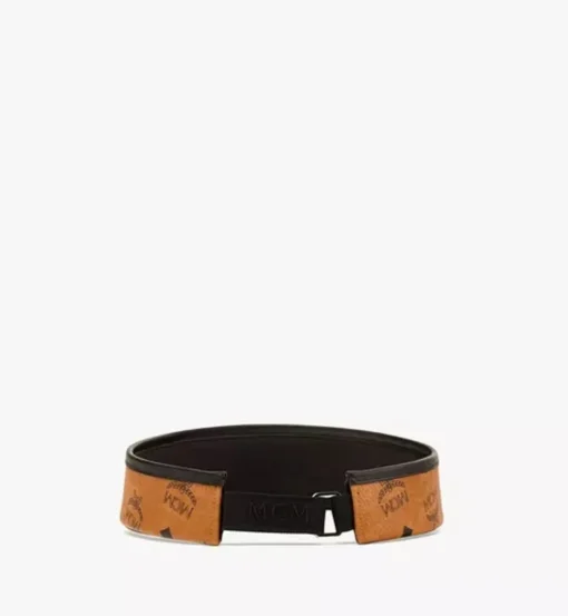 Vinyl Visor In Visetos