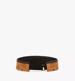Vinyl Visor In Visetos